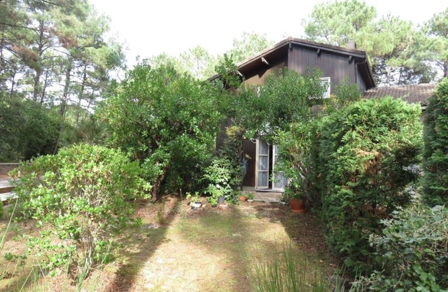 Cottage 1 Lovely peaceful Cottages on golf course, 5min from sea, surf and lake