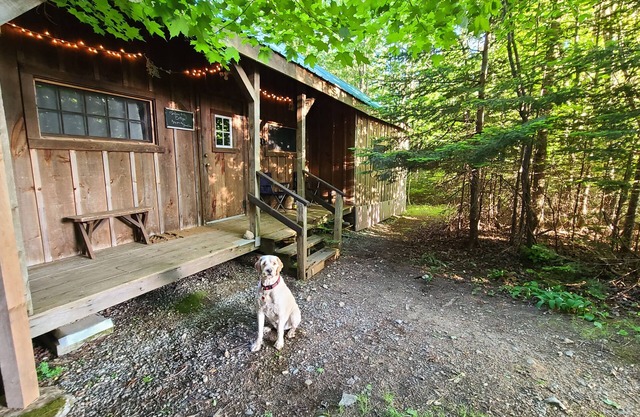 Cottage 7min to Ski Stratton-Wood Stove,Starry Skies,Fire Pit,Views,Dogs OK