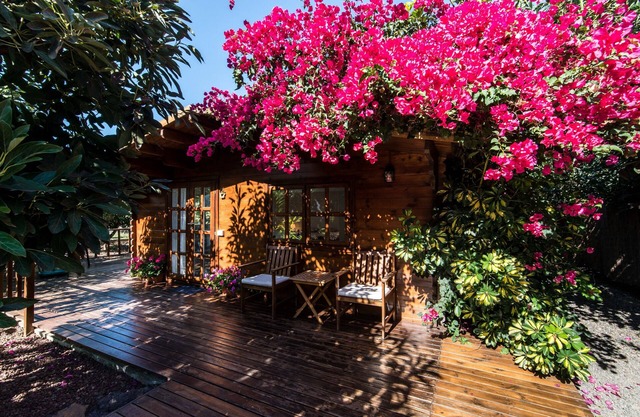 Cottage In Avocado Plantation Near Bollullo Beach and Puerto Cruz