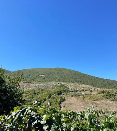 CountrySide TOTAJ Villa