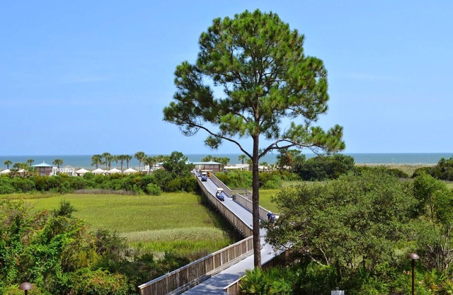 Courtyard View - 3 Bedroom - Marriott's SurfWatch - Full Resort Access