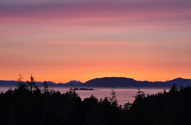 Cozy 1 bedroom cabin full of amenities in beautiful Ketchikan