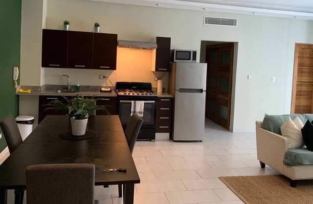 Cozy Apartament in Serrallés/piantini