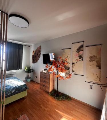 Cozy apartment near the ski lift!