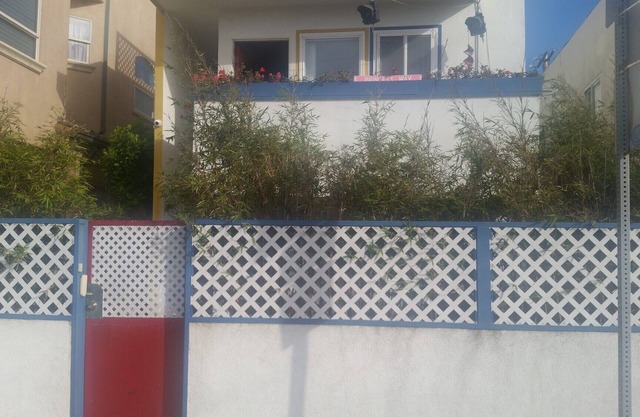 Cozy Beach Apartment near LAX & Silicon Beach