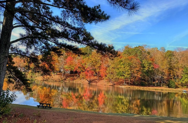 Cozy cabin and fall leaves! Swim, Horses, hiking, lake and 3 mi from Helen!