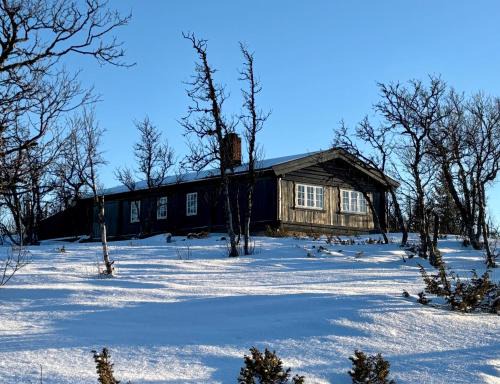 Cozy cabin near Geilo & Dagali terrace, grill, fireplace, view & WiFi