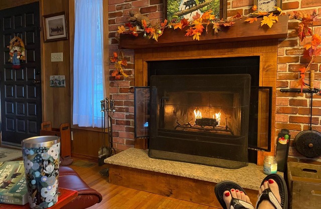 Cozy Cabin with Waterfalls 'Tween Franklin/Highlands
