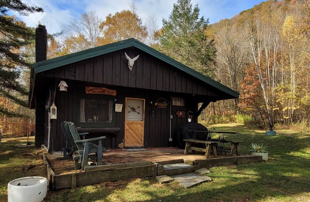 Cozy Catskills Cabin: Your perfect rustic getaway - Pet friendly
