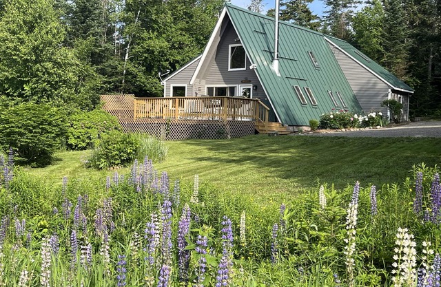 Cozy Chalet near Saddleback Mountain & Downtown Rangeley