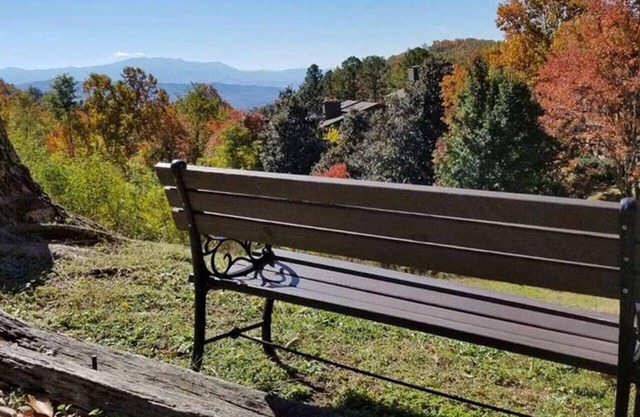 Cozy condo. Serenity on top of Old Smokey About a 40 minute drive to DollyWood