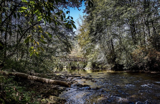 Cozy Cottage | Creek Views & Fire Pit – Your Summer Escape