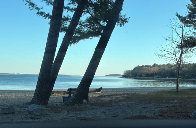 Cozy cottage in the heart of Traverse City. Short walk to beach and downtown!
