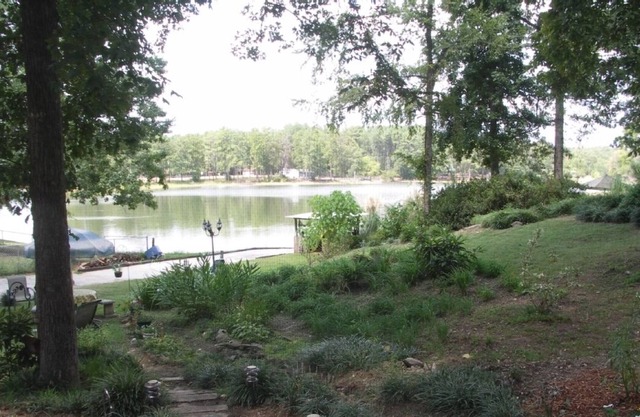 Cozy Cottage Nestled in the Woods with 225’ of Waterfront on Lake Murray