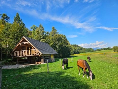 Cozy house Dalija