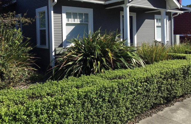 Cozy house in Central Eureka Location