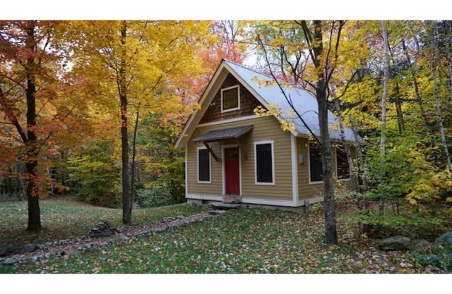 Cozy Little Cabin in the Woods