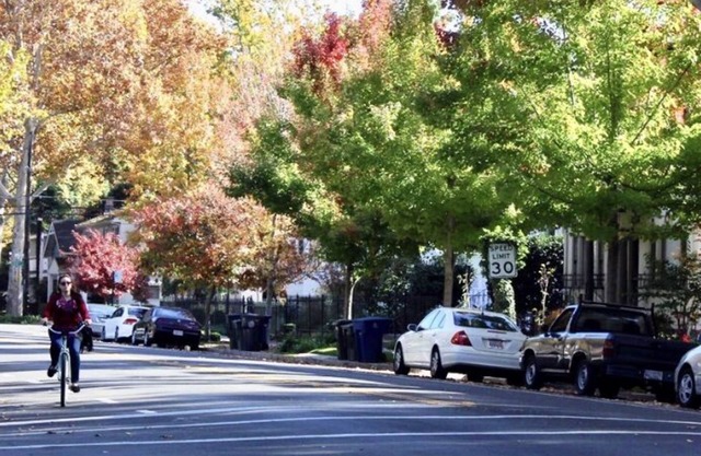 Cozy Modern House, Heart of Midtown! 2 Bedrooms