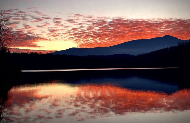 Cozy Mountain Cabin with pond one mile from the Blue Ridge Parkway
