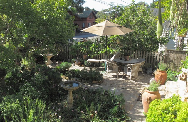 Cozy Pacific Grove Cottage - Walking Distance To Everything 0170