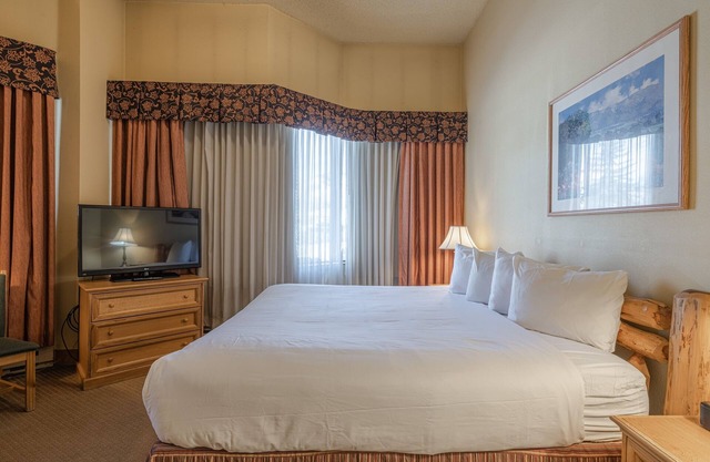 Cozy Pet-Friendly King Studio in Mt. Crested Butte - No Cleaning Fee! by RedAwning