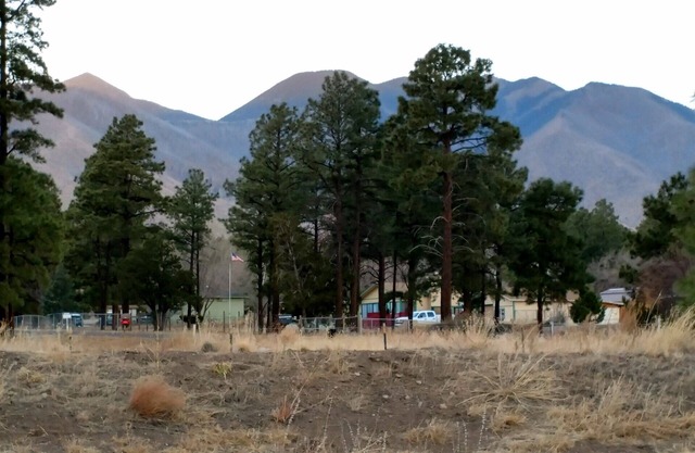 Cozy Studio Apartment At The Base Of The San Francisco Peaks.