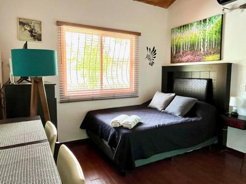 Cozy Studio with Pool - 90m from Beach - Quiet