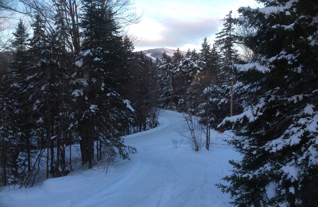 COZY TREE LIKE HOUSE. WALK TO MARKET & REST. LOW RATES. 1 MILE TO MT SNOW.
