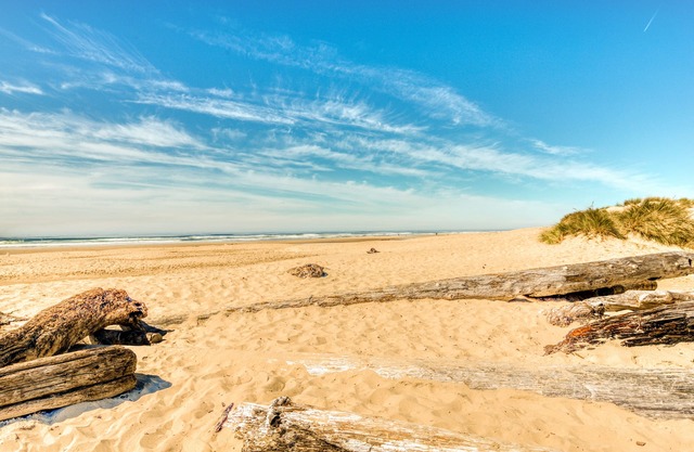Cozy & Well-Decorated Cabin with Close Beach Access - Dog Friendly