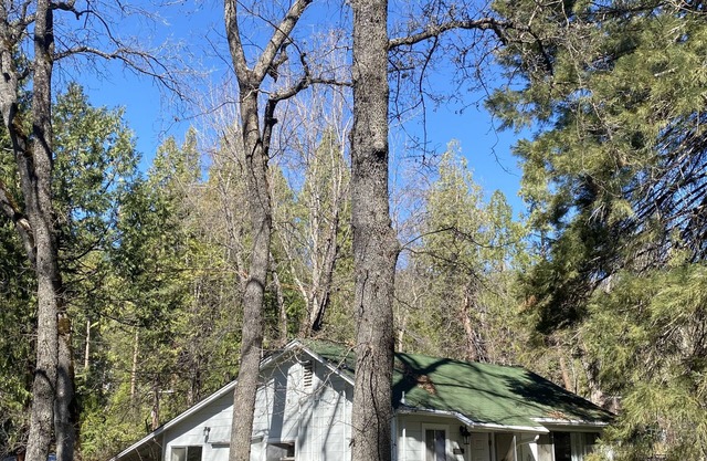 Creekside Cabin near Yosemite