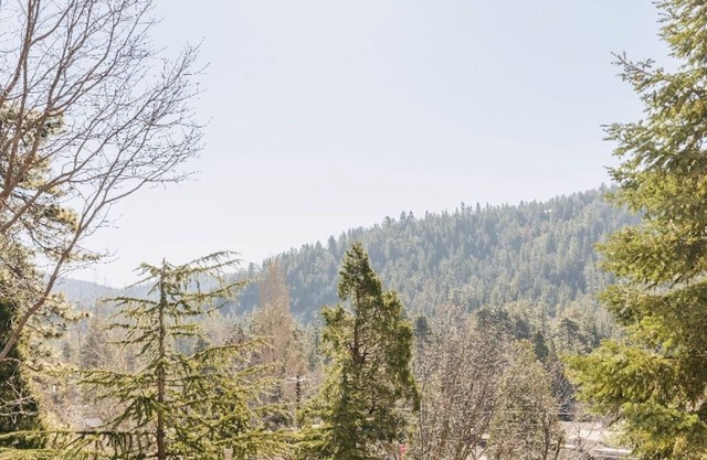 Crestline Cabin: Close to Lake Gregory