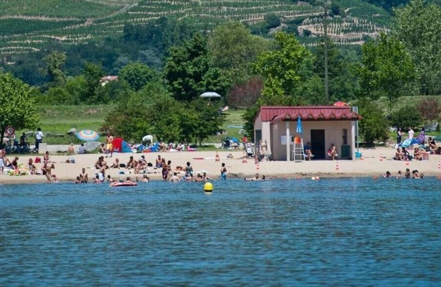 Crozes-Hermitage (5) - Wam Park