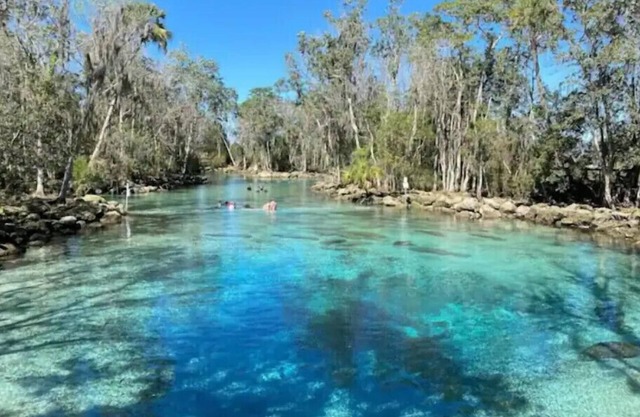 Crystal Cottage-walk to Manatees