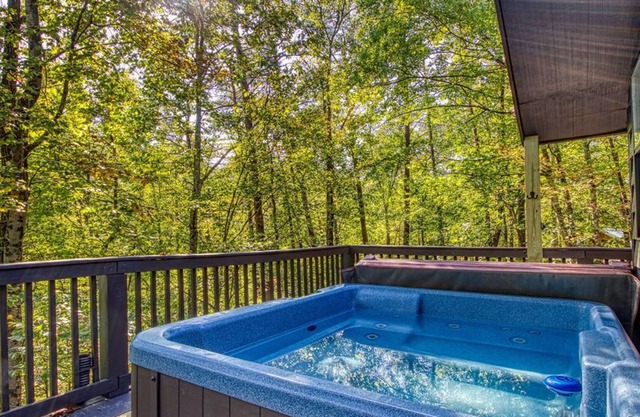 Cub's Corner - Near Pigeon Forge, FREE Attraction Tickets!!!