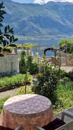 Cute studio with garden and terrace,by the sea
