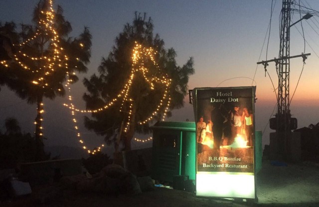 Daisy Dot Murree
