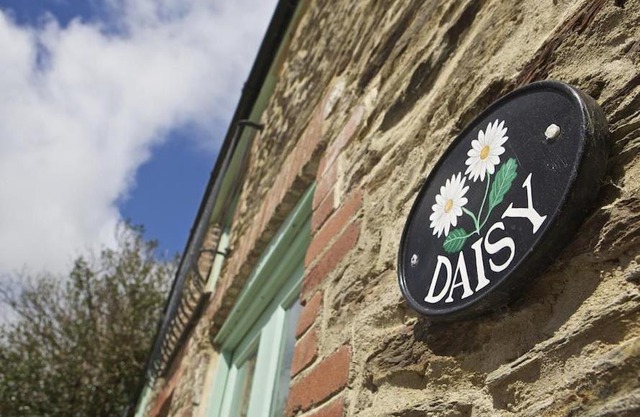 Daisy