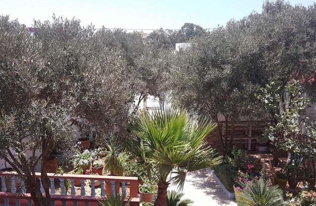 Dar ezzitouna