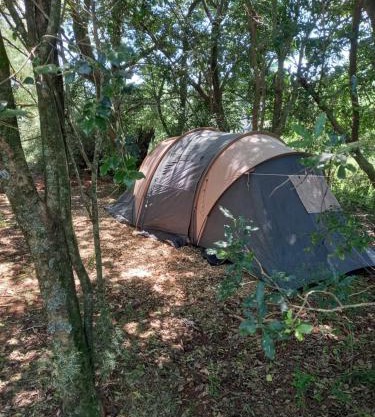 Dargle campsite