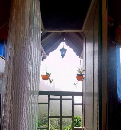 Darjeeling Nest