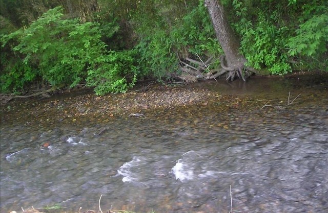Darling Mountain Getaway/Eight Acres with Secluded Creek Area