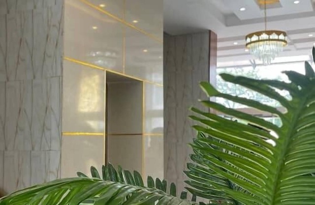 DE SILVER GREEN LUXURY HOTEL