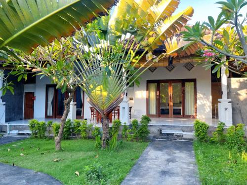 Dea Putra DIVE HOMESTAY
