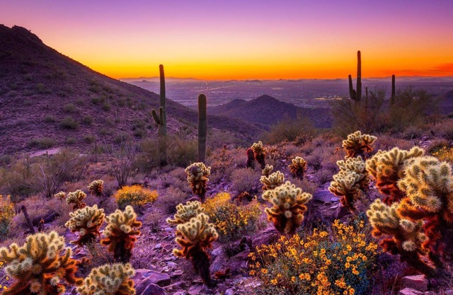 Desert Dreams & Group Adventures Await