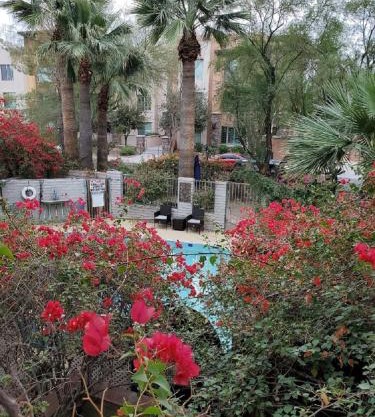 Desert Rose Villas - Private One Bedroom in Old Town Scottsdale