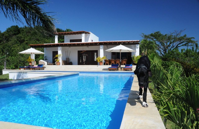 Design Villa Stunning Ocean View - close to beaches & village- chef housekeeping