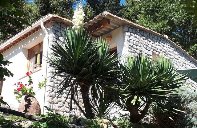 Detached cottage on property with private Jacuzzi and shared pool