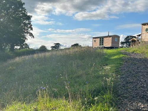 Devon Peaceful shepherds hut with hammock