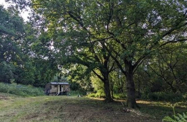 Dingle Glenn secluded woodland cabin