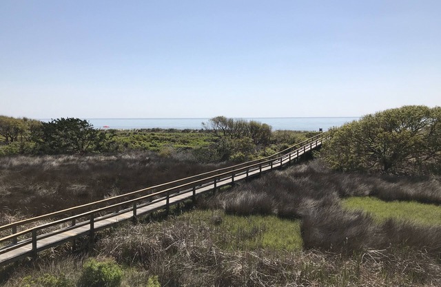 Direct Ocean Front View Condo! A225. Also see HA#9437951🏖next door!